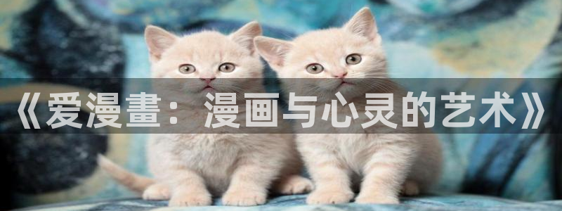 怎么在浏览器看漫蛙漫画