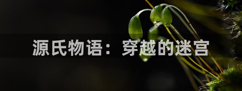 漫蛙2台版：源氏物语：穿越的迷宫