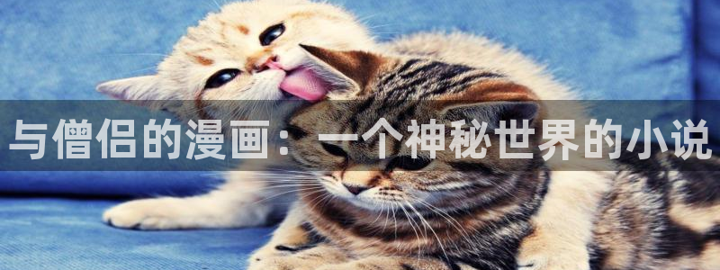 漫蛙下载链接正版：与僧侣的漫画：一个神秘世界的小说