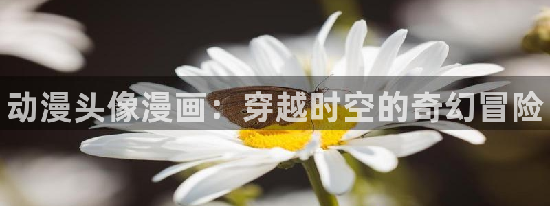 漫蛙ios版：动漫头像漫画：穿越时空的奇幻冒险