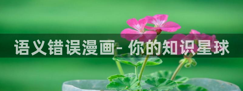 漫蛙2@：语义错误漫画- 你的知识星球
