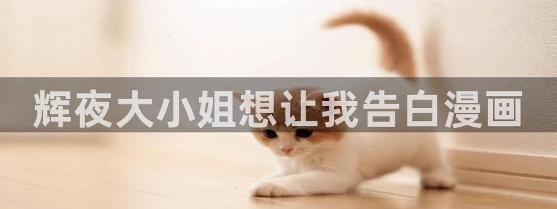书呆子计划在漫蛙叫什么：辉夜大小姐想让我告白漫画