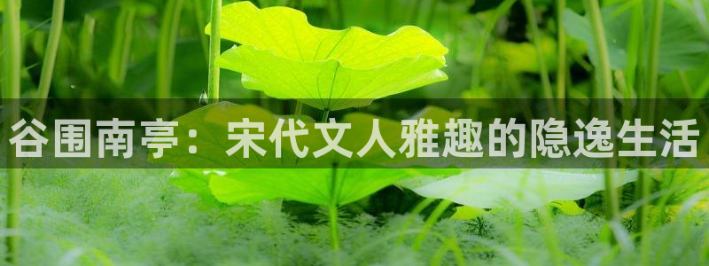 漫蛙漫画防走失页面：谷围南亭：宋代文人雅趣的隐逸生活