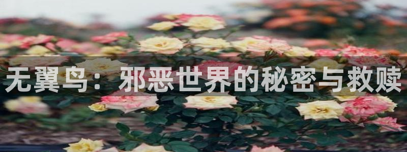 漫蛙漫画网址链接：无翼鸟：邪恶世界的秘密与救赎