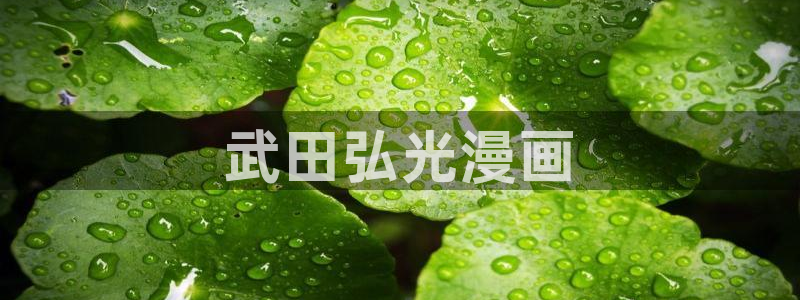 漫画漫蛙免费入口：武田弘光漫画