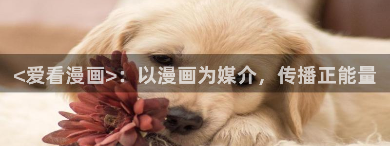 漫蛙1正版：<爱看漫画>：以漫画为媒介，传播正能量