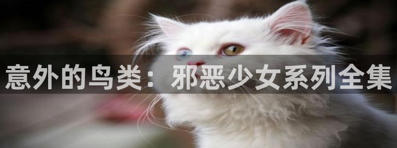 漫蛙manwa下载链接