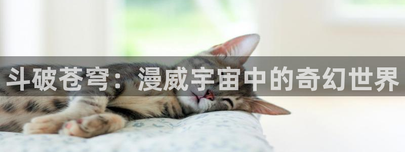 漫蛙2链接