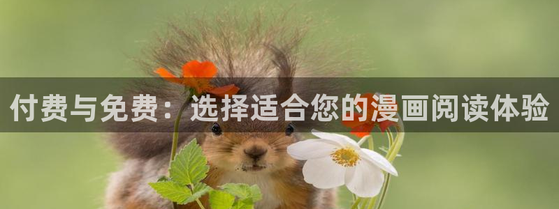 漫蛙下载大全
