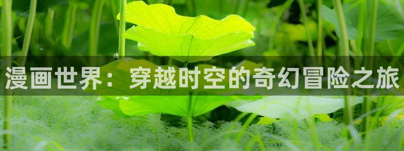 漫蛙正版