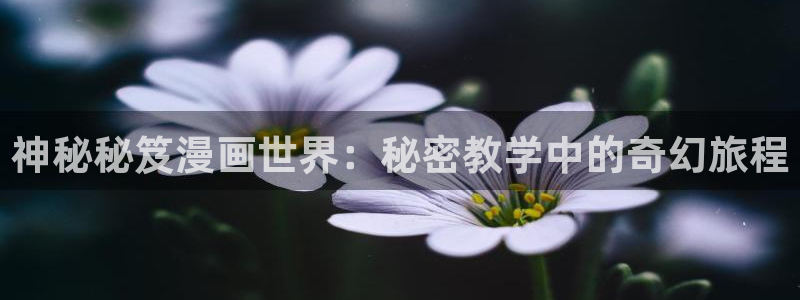 漫蛙漫画(网页入口)完整的一族