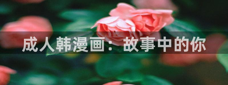 漫蛙登录不上去：成人韩漫画：故事中的你