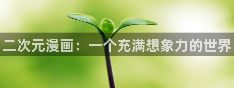 漫蛙漫画官方版正版入口网页地址：二次元漫画：一个充满想象力的世界