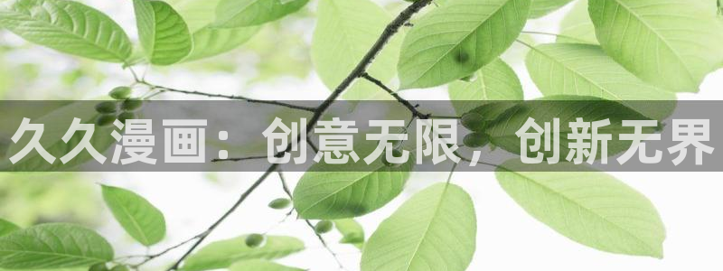 漫蛙2在线观看官网：久久漫画：创意无限，创新无界
